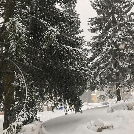 Apartament Julie 1 Svoboda nad Úpou Zewnętrze zdjęcie