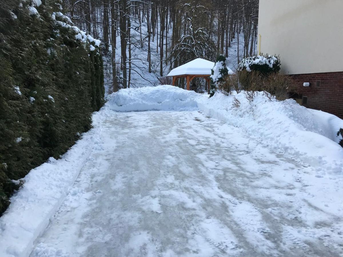 Apartament Julie 1 Svoboda nad Úpou Zewnętrze zdjęcie