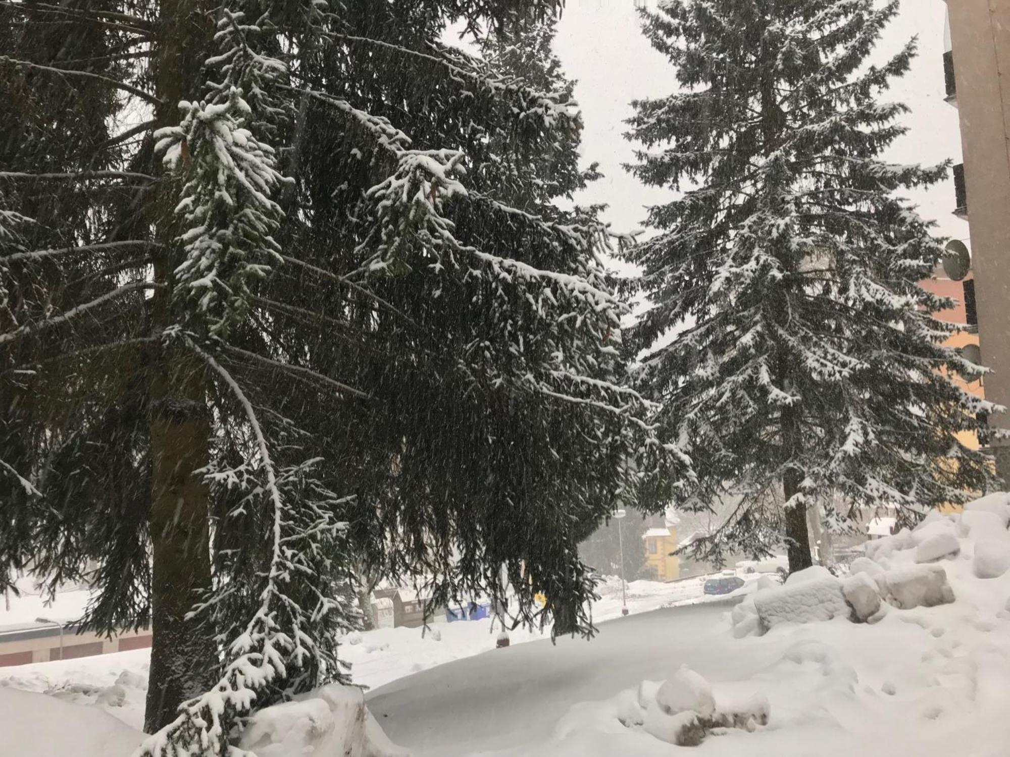 Apartament Julie 1 Svoboda nad Úpou Zewnętrze zdjęcie