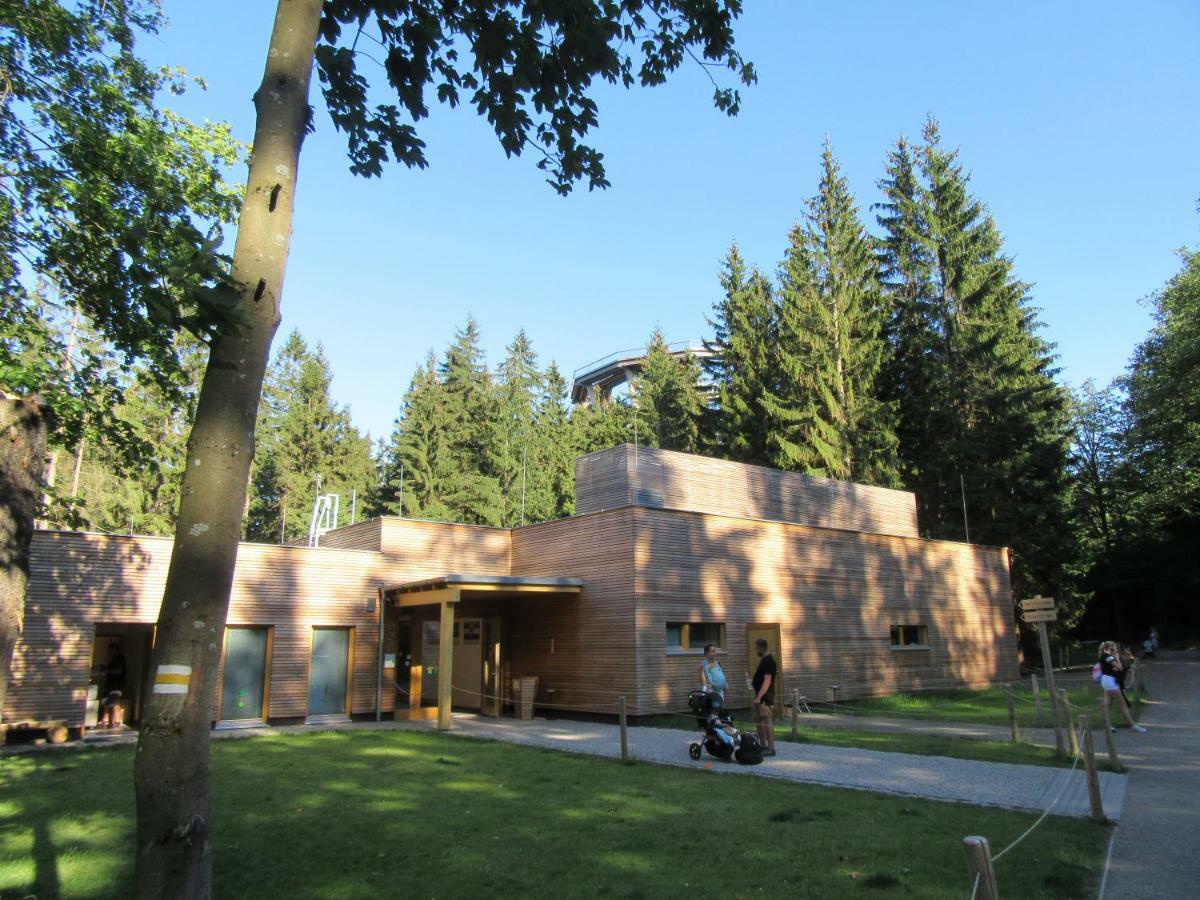 Apartament Julie 1 Svoboda nad Úpou Zewnętrze zdjęcie